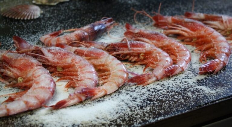 Gamba Roja a la plancha