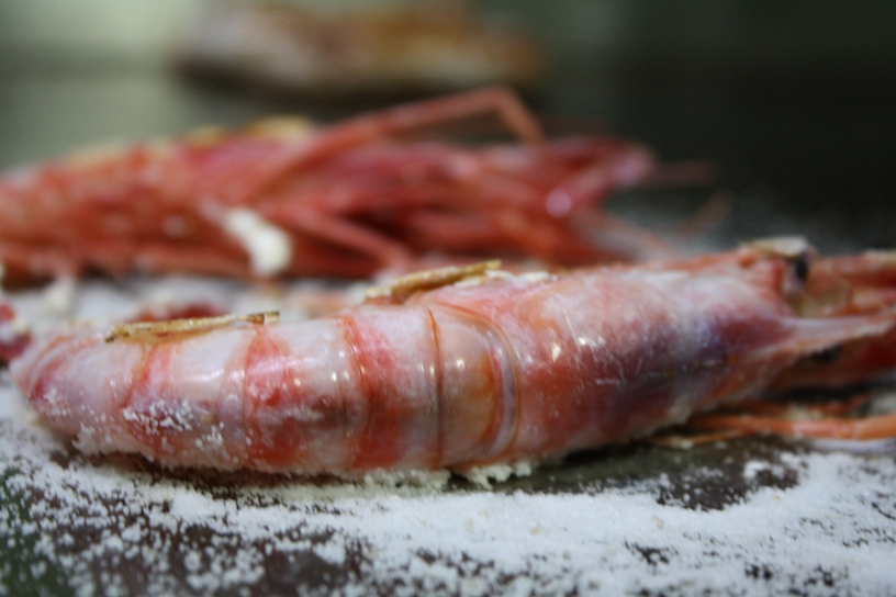 Gamba roja de Denia a la plancha