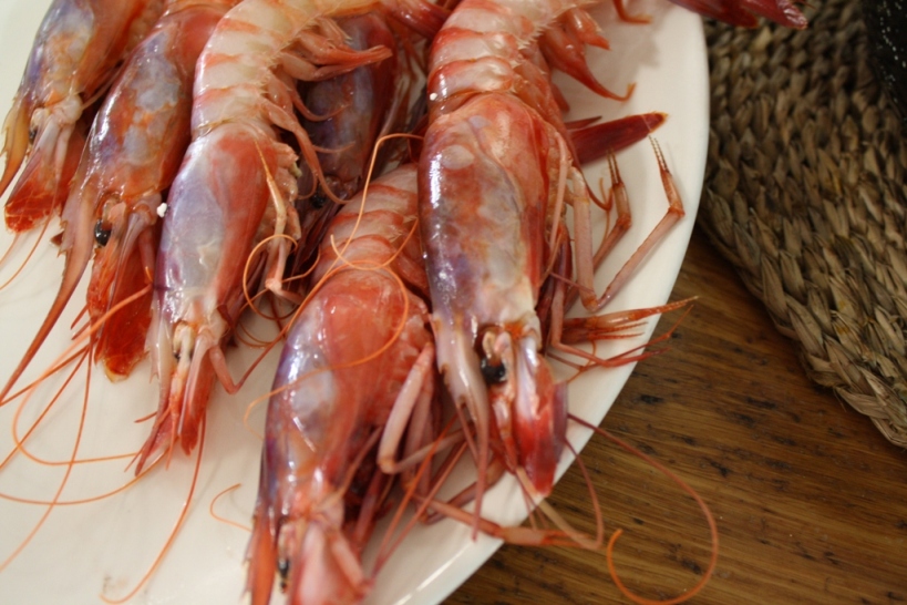 Gamba roja de Denia fresca